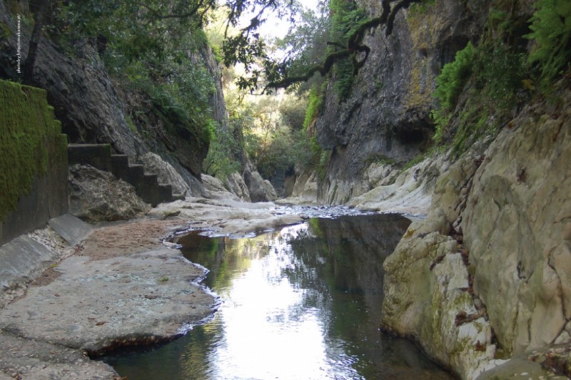 Offer of Entrance to the Guided Tour of the Interpretive Route of the Alviela Springs